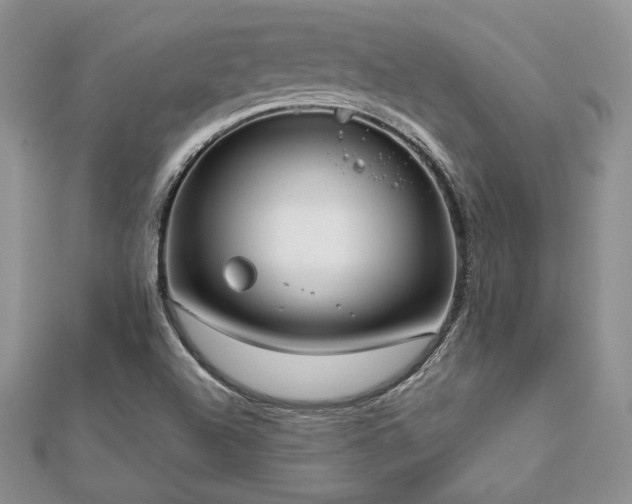 X0000112531504200908171409