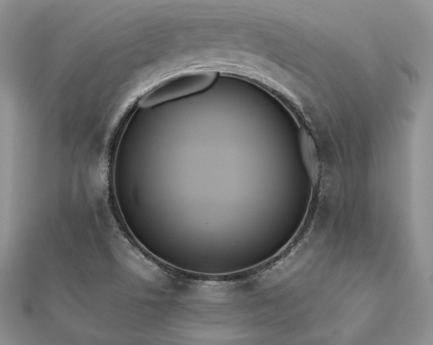 X0000112531506200908171409