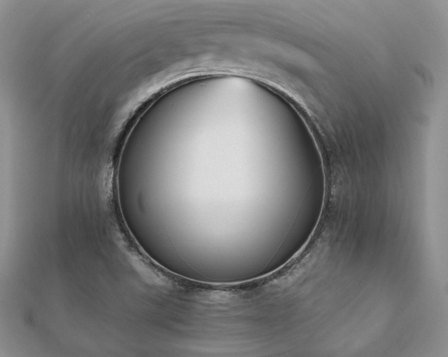 X0000112531507200908171409