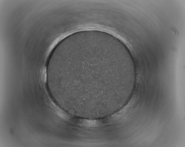 X0000112531509200908171409