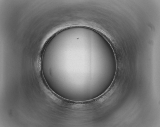 X0000112531510200908171409