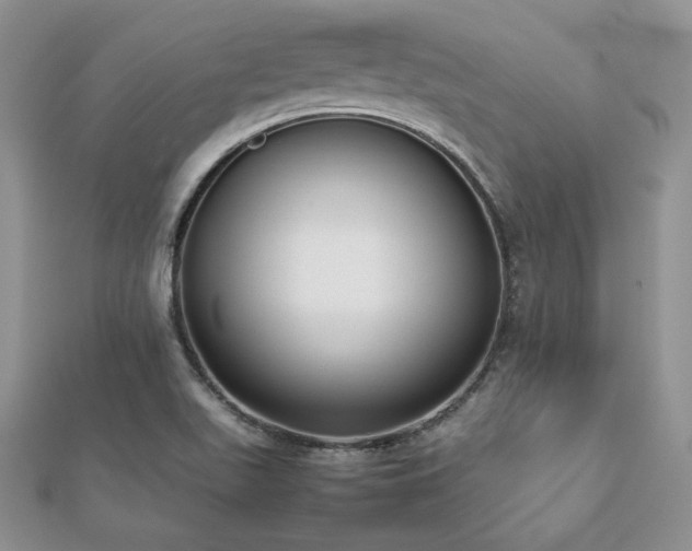 X0000112531511200908171409