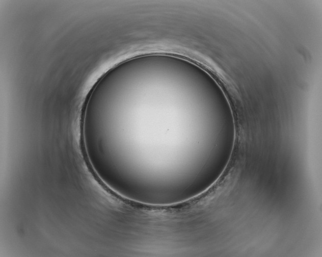 X0000112531512200908171409