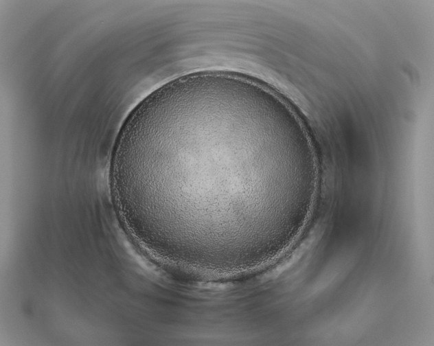 X0000112531513200908171409