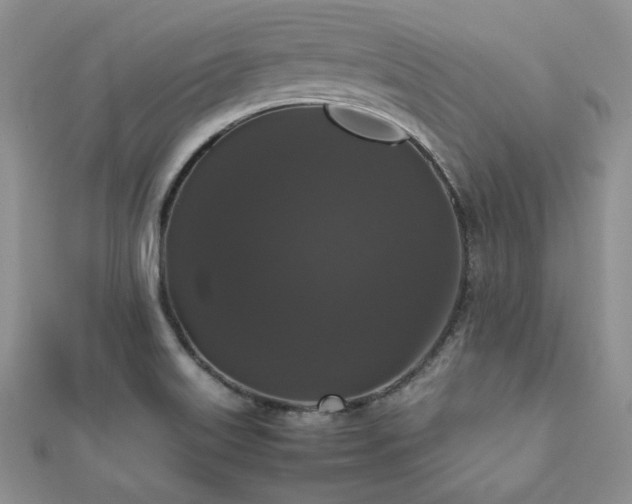 X0000112531515200908171409
