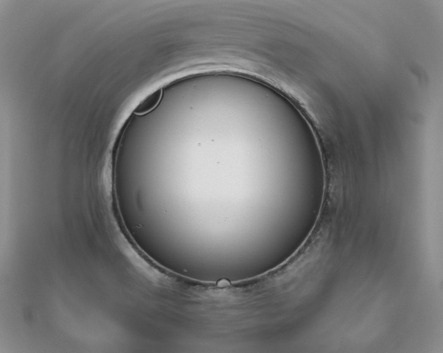 X0000112531516200908171409