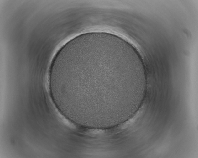 X0000112531517200908171409