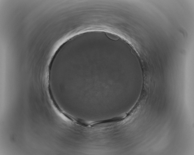 X0000112531519200908171409