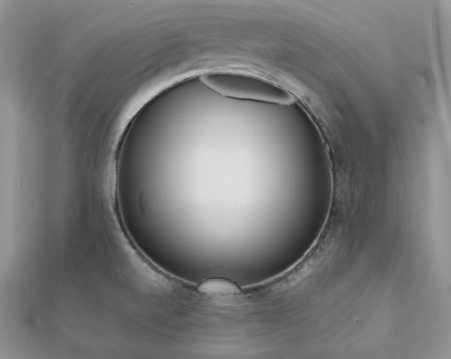 X0000112531520200908171409