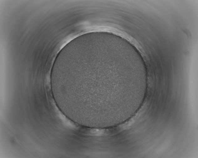 X0000112531521200908171409