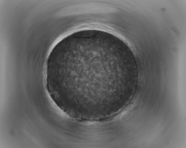 X0000112531522200908171409