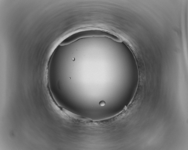 X0000112531524200908171409