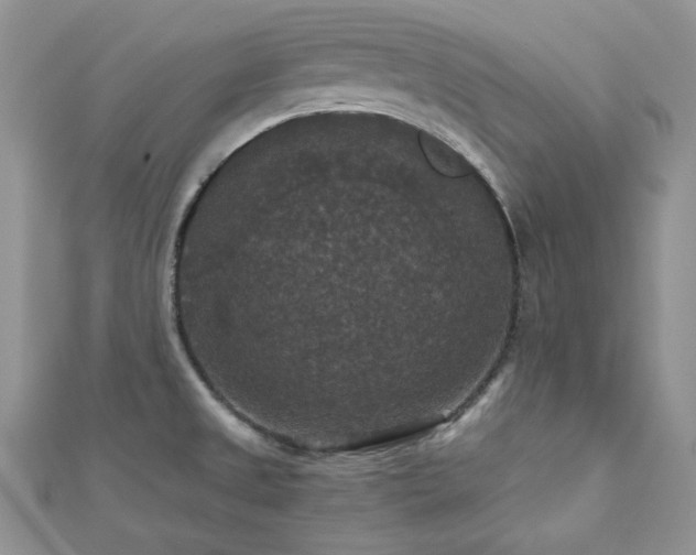 X0000112531525200908171409