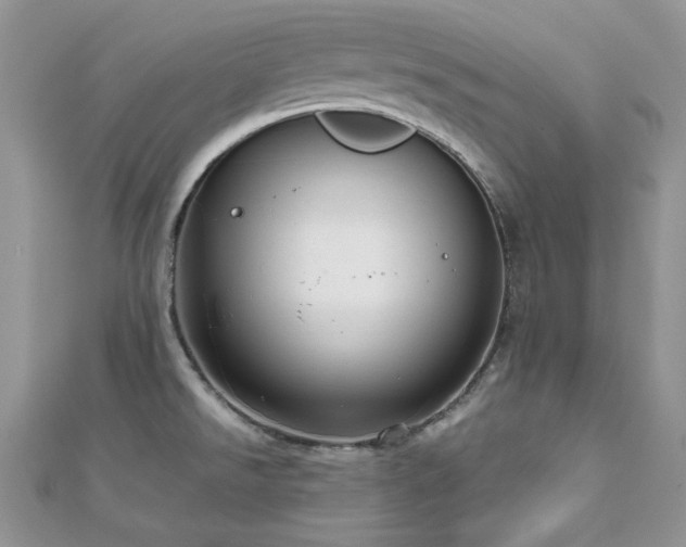 X0000112531526200908171409
