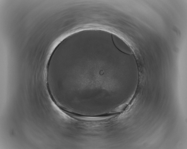 X0000112531527200908171409