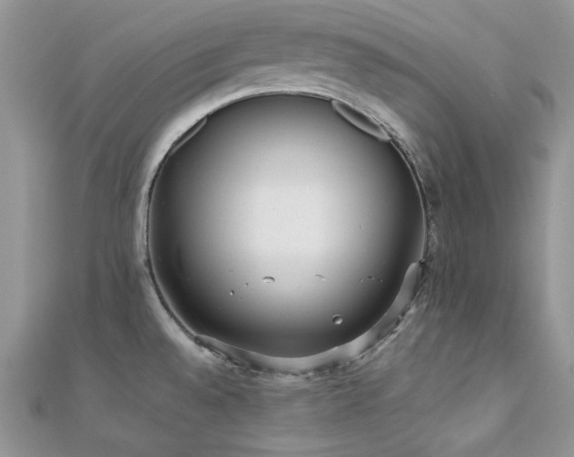 X0000112531528200908171409