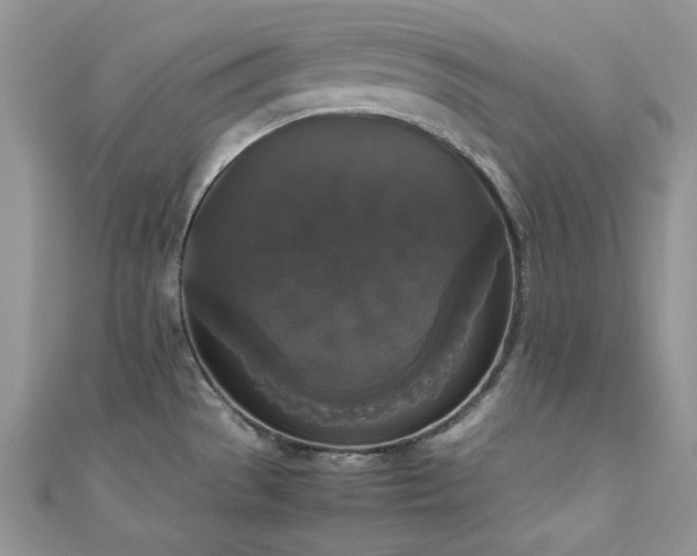X0000112531529200908171409