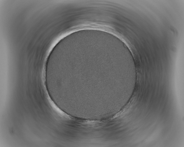 X0000112531531200908171410