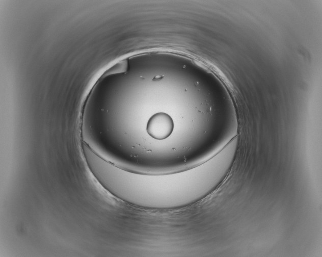 X0000112531532200908171410