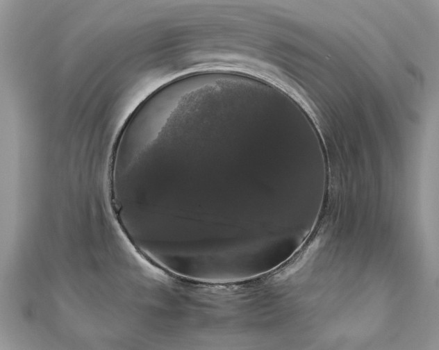 X0000112531533200908171410