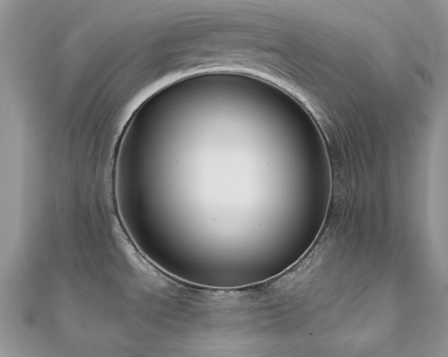 X0000112531534200908171410
