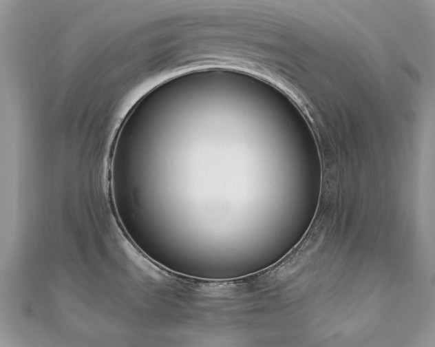 X0000112531535200908171410