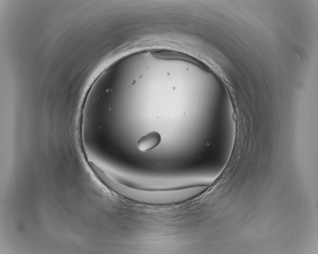 X0000112531536200908171410