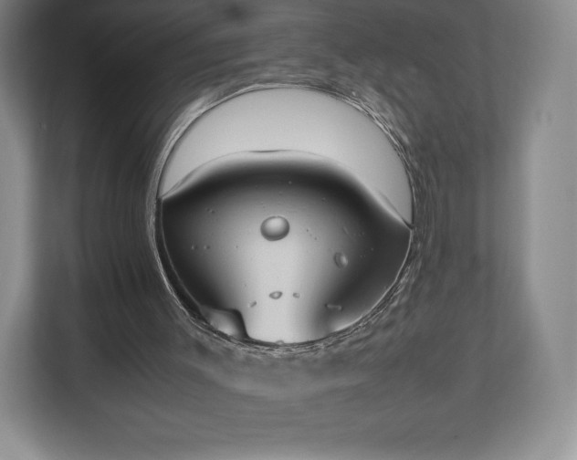 X0000112530003200908241516