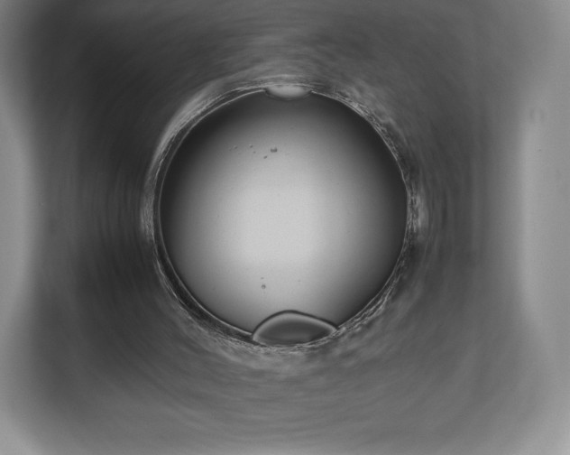 X0000112530004200908241516