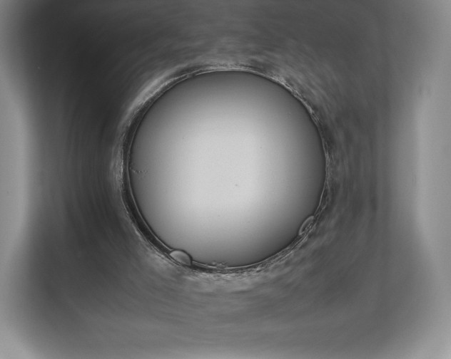 X0000112530005200908241516