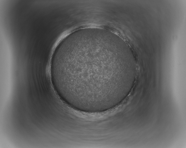 X0000112530006200908241516