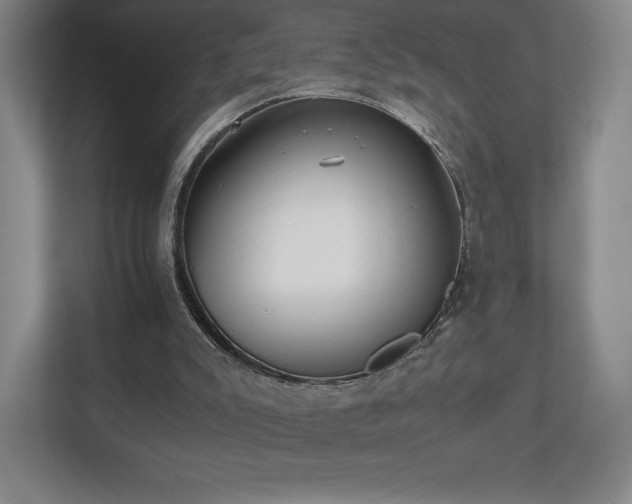 X0000112530007200908241516