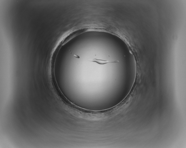X0000112530008200908241516