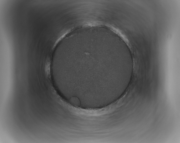 X0000112530010200908241516