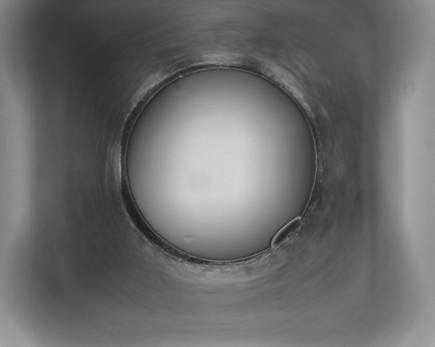 X0000112530011200908241516