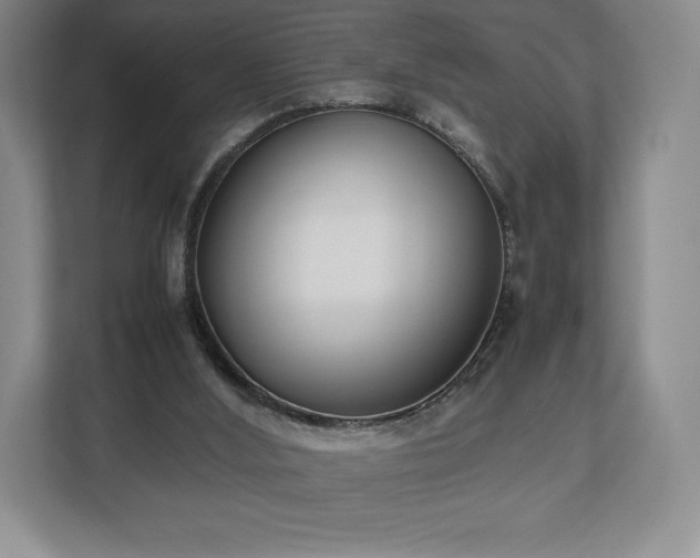X0000112530012200908241516