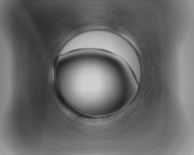 X0000112530013200908241516