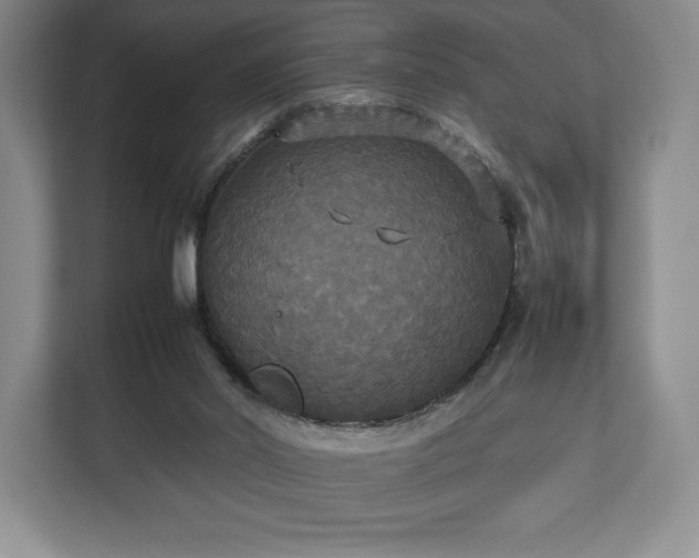 X0000112530014200908241516