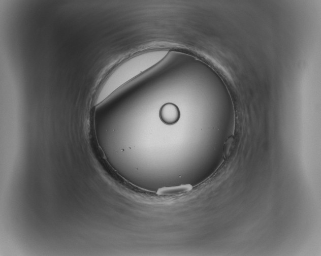 X0000112530015200908241516