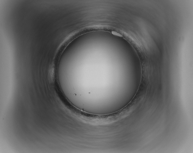 X0000112530016200908241516