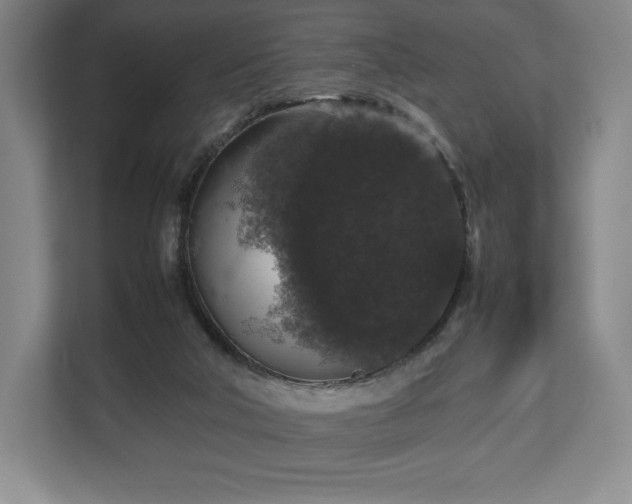 X0000112530018200908241516
