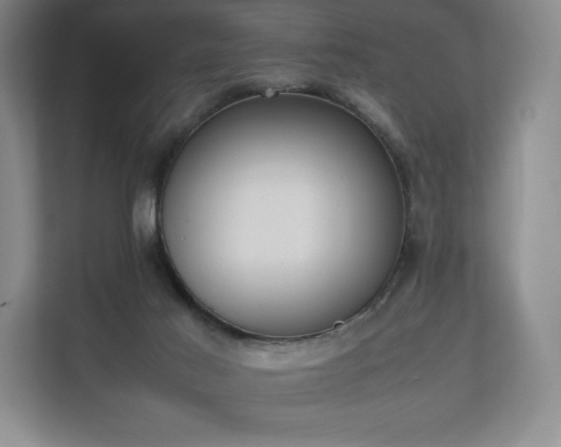 X0000112530021200908241516