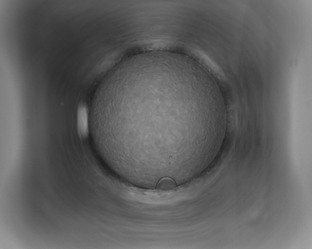 X0000112530022200908241516
