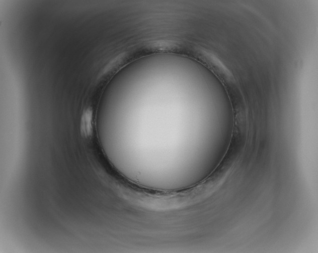 X0000112530024200908241516