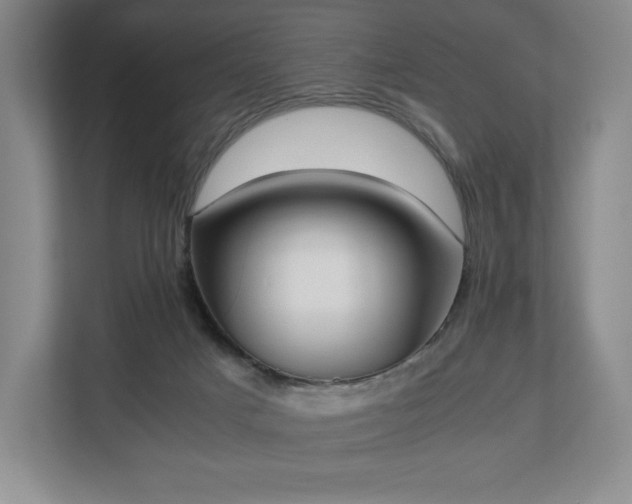X0000112530025200908241516