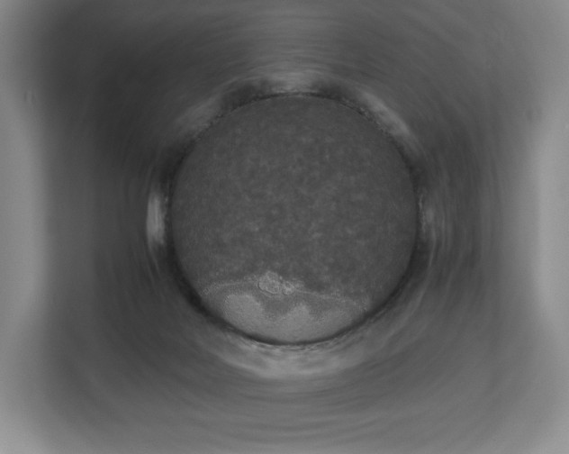 X0000112530026200908241516