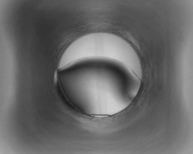 X0000112530027200908241516