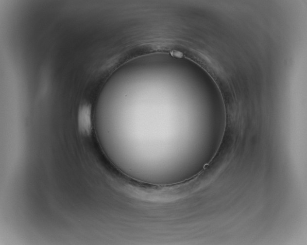 X0000112530028200908241516