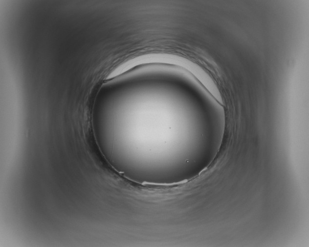 X0000112530029200908241516