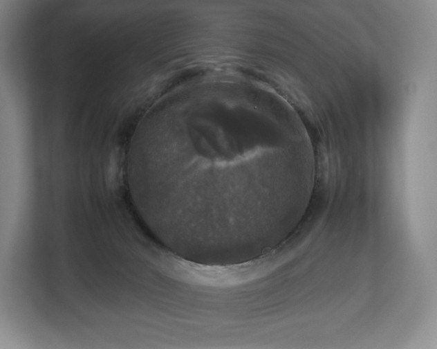 X0000112530030200908241516